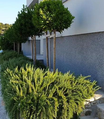 Sea View * زابوريتش