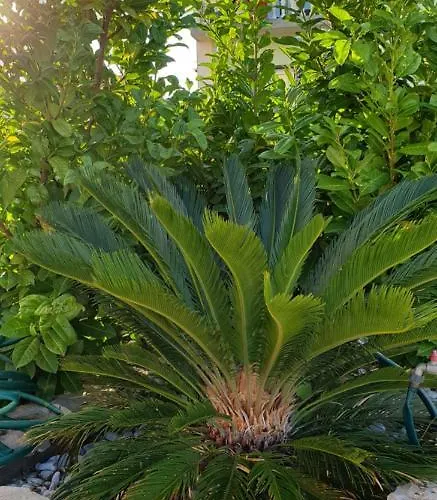 Apartman Sea View Zaboric